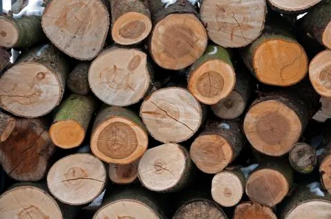 Wooden background Stock Photos