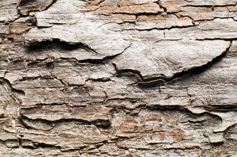 Wooden background Stock Photos