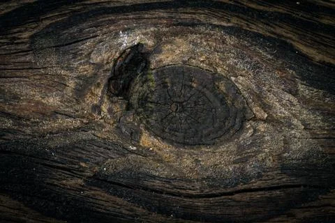Wooden background Stock Photos