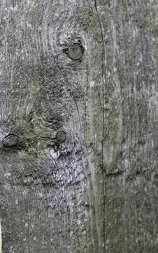 Wooden background Stock Photos