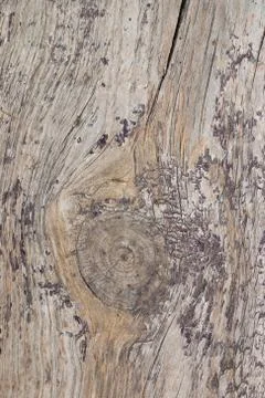 Wooden background Stock Photos