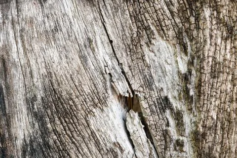 Wooden background Stock Photos