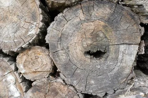 Wooden background Stock Photos