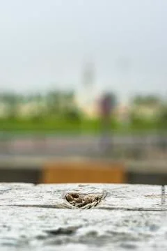 Wooden background Stock Photos