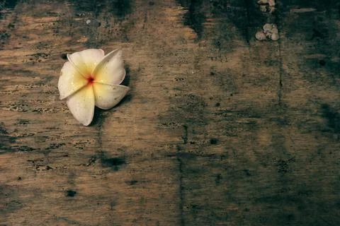 Wooden background Stock Photos