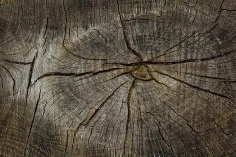 A wooden background with a structure Stock Photos