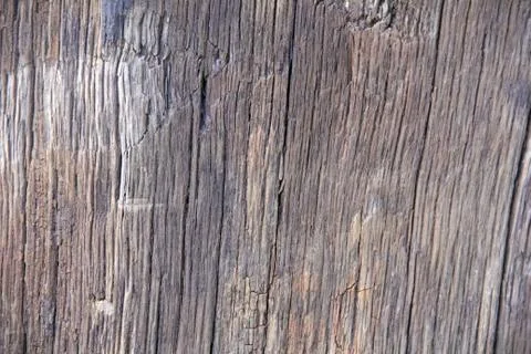 Wooden Background Texture 写真素材