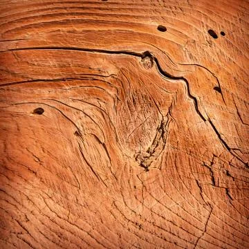 Wooden background texture. Stock Photos