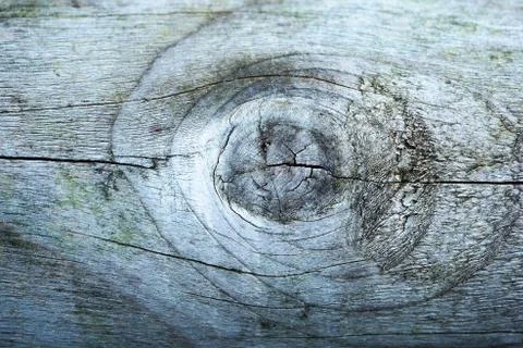 Wooden background texture Stock Photos