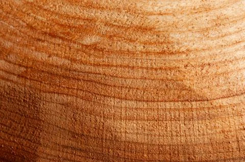 WOODEN BACKGROUND with texture Stock Photos