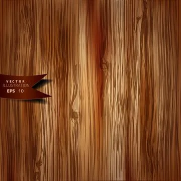 Wooden background. Tree texture.. Abstract vector illustration with background. Stock Illustration