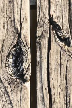 Wooden background2 Stock Photos