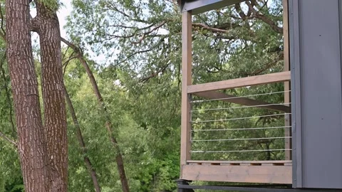 Wooden balcony frames are positioned amidst tall trees, highlighting the natural Stock Footage 339004472