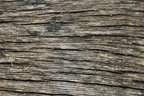 Wooden Bark Texture Background Pattern Wallpaper Close up Stock Photos