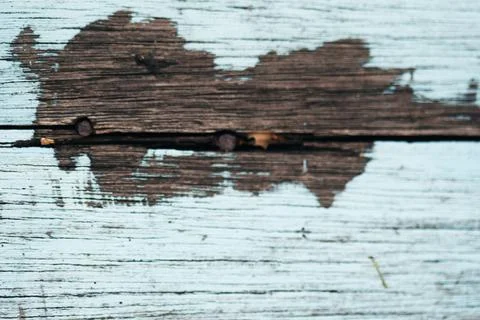 Wooden Bark Texture Background Pattern Wallpaper Close up Stock Photos