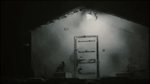 Wooden barrack and wire fence - archival Vidéo 117937417