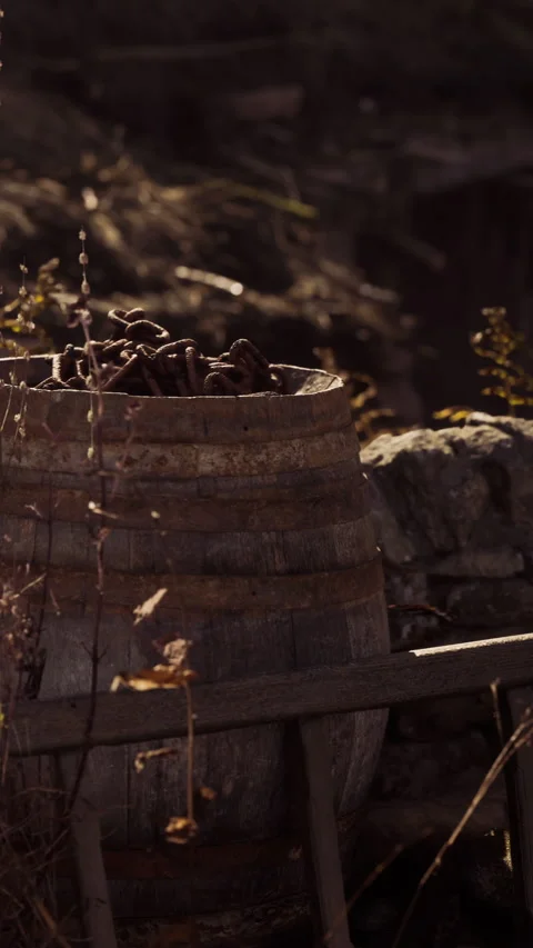 Wooden barrel filled with nuts in a rustic setting at dusk Stock Footage 341048913
