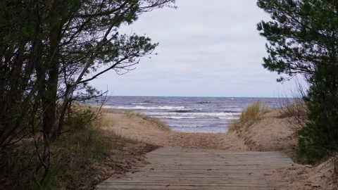 Wooden Beach Path Between Dunes Stock Footage 336446706