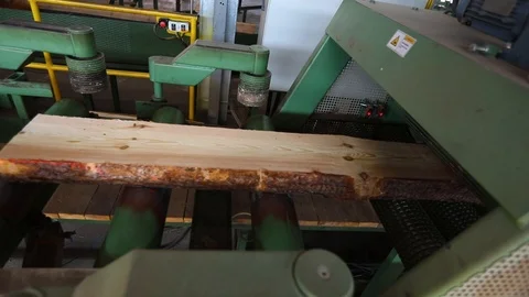 Wooden beam on conveyor, wood processing at a woodworking factory, industrial Stock Footage 107600149