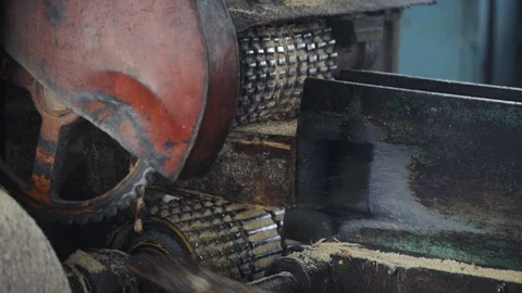 Wooden beam on conveyor, wood processing at a woodworking factory, cutting wood Stock Footage 126523942