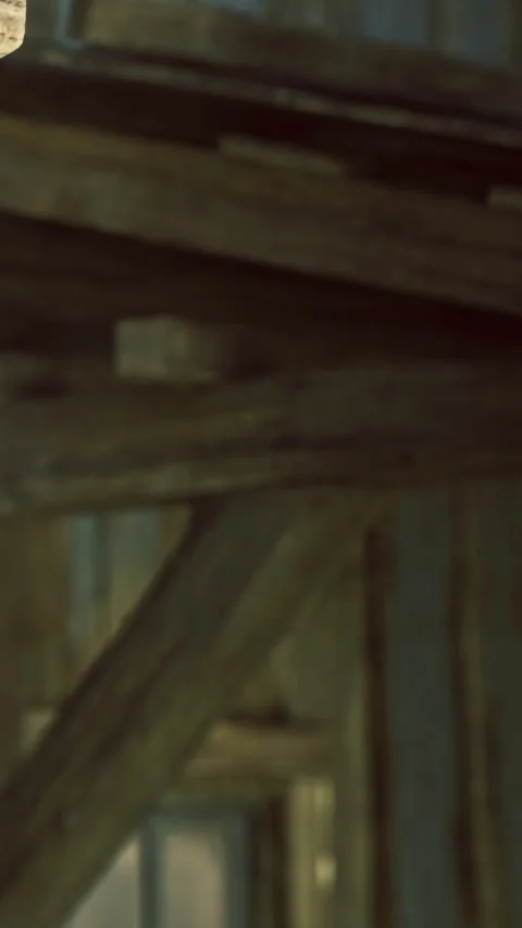 Wooden beams support a rustic interior bathed in soft light Stock Footage 331839251