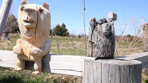 Wooden Bears Stock Footage 129204269