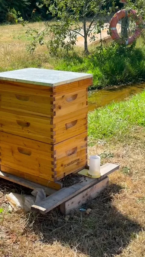 Wooden beehive next to a small stream in a sunny, green field with a lifebuoy Stock Footage 345992522