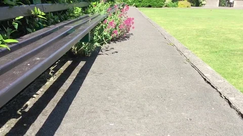 Wooden bench Stock-Footage 72374851