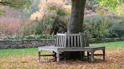 Wooden bench Stock Footage 220218359