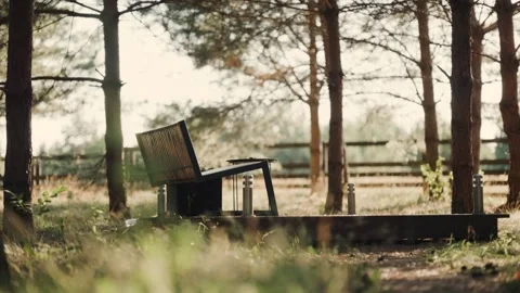 Wooden bench in a forest area surrounded by trees and grass in the daytime Stock Footage 341864319