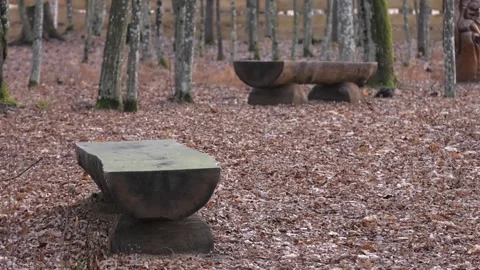 Wooden bench on a forest path. Old wooden benches in the forest Stock Footage 123967518