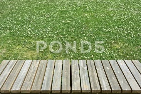 Wooden bench on lawn Stock Photos