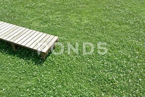 Wooden bench on lawn Stock Photos