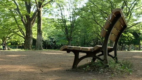 Wooden Bench In A Park Stock Footage 92285524