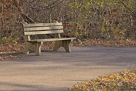 Wooden Bench on Path Stock-Fotos