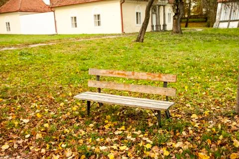 Wooden bench Stock Photos