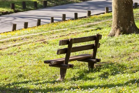 Wooden bench Foto stock