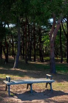 Wooden bench Stock-Fotos