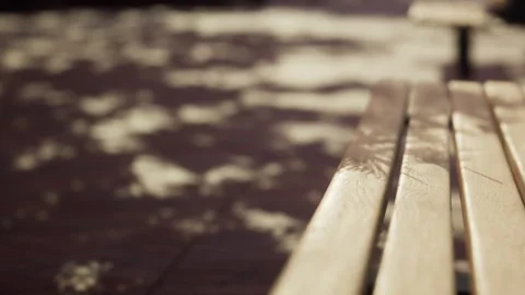 Wooden bench under tree shadows in sunny park during late afternoon Stock Footage 341790408