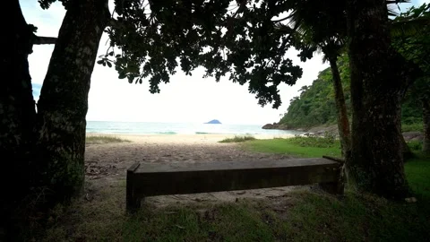 Wooden Bench Under Trees Framing Tropical Beach and Island View, Brazil Vídeos de archivo 334614307