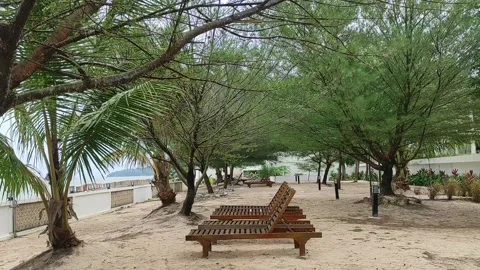 Wooden benches Stock Footage 300319212