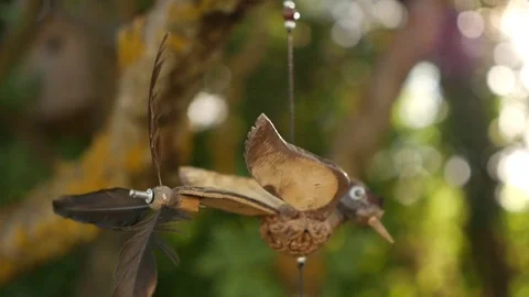 Wooden bird Video stock 84026059