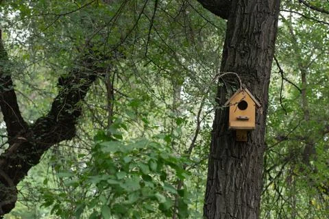 Wooden birdhouse on a tree Foto stock