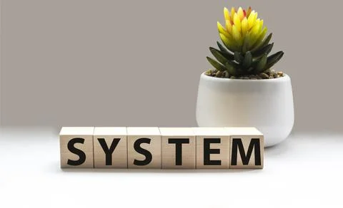 On wooden blocks text: SYSTEM on white background .Educational concept. Stock Photos