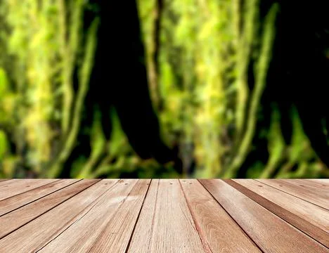 Wooden board empty table in front of beautiful blurred forest background, Stock Photos