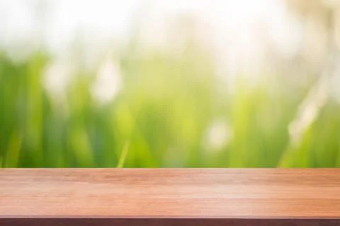 Wooden board empty table top blur trees in forest background. Stock Photos