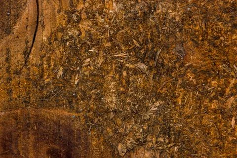 Wooden board texture Stock Photos