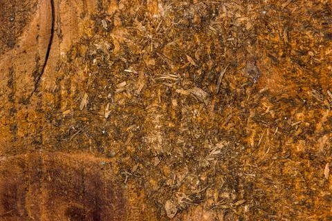 Wooden board texture Stock Photos
