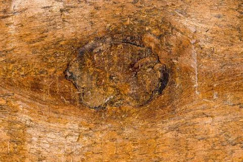 Wooden board texture Stock Photos