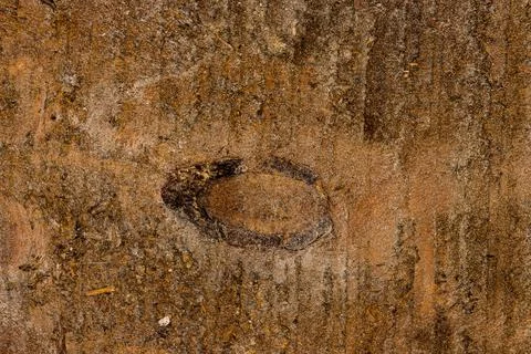 Wooden board texture Stock Photos